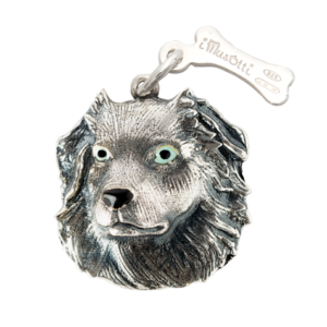 Australian Shepherd