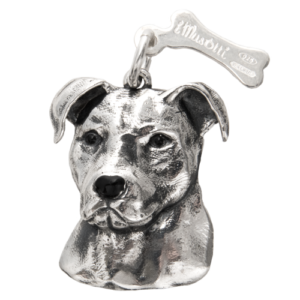 American Pitbull terrier (orecchie basse)