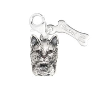 Gatto Europeo