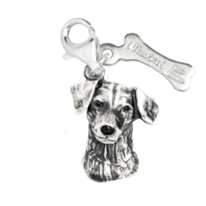 Jack Russel terrier