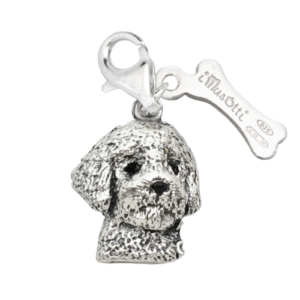 Lagotto Romagnolo
