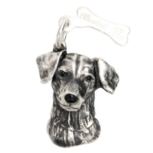Jack Russel terrier