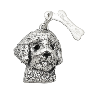 Lagotto Romagnolo