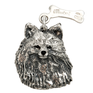 Volpino Spitz