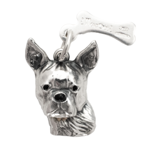 Boston terrier