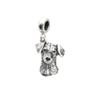 Jack Russel terrier