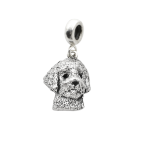 Lagotto Romagnolo