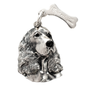 Springer Spaniel
