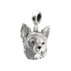 Chihuahua pelo lungo