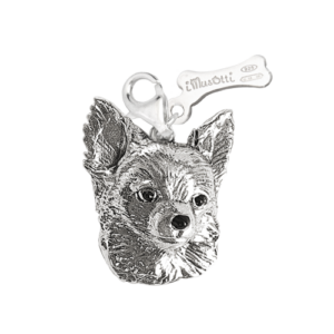 Chihuahua pelo lungo